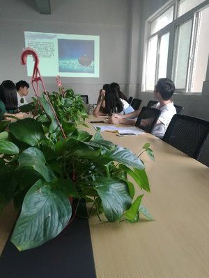 江蘇景寧信息技術(shù) 專業(yè)信息技術(shù)咨詢的新力量