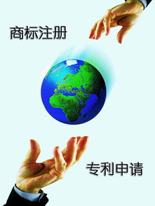 布局內容版權新版圖 解碼‘一呼百應’公司的版權代理戰略